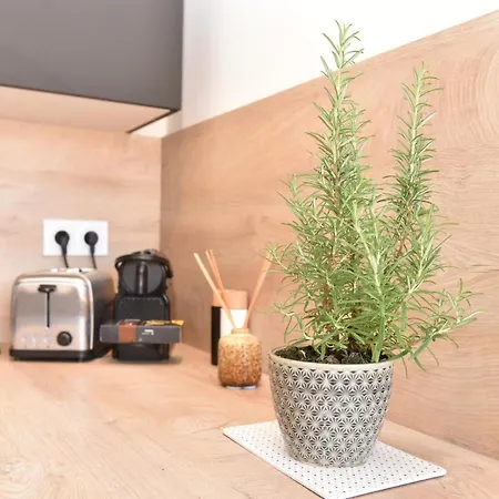 La Taulissa Appartement